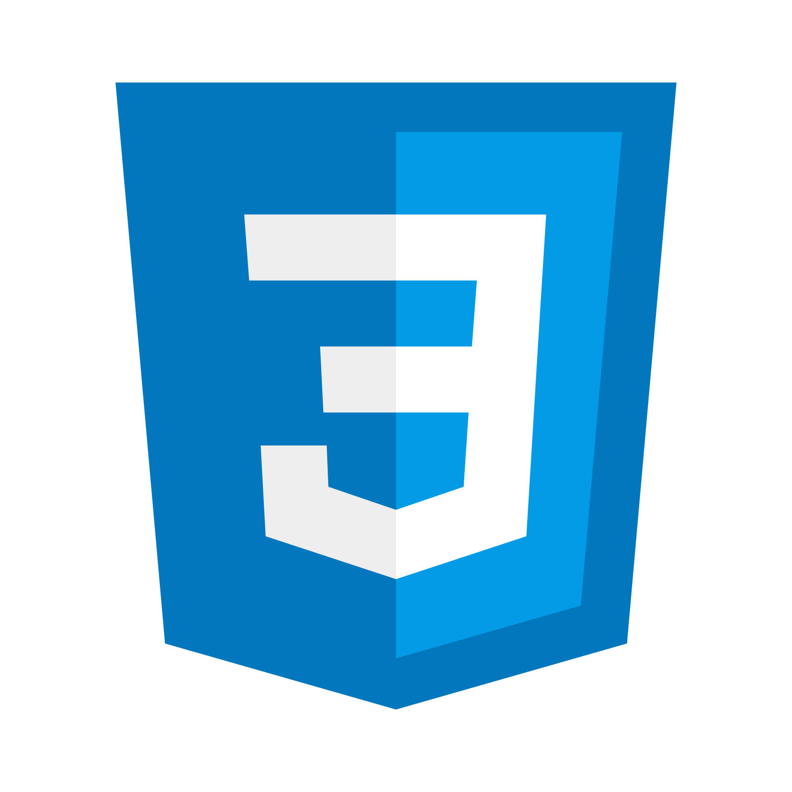 CSS Icon